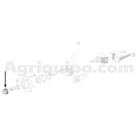 Tapón del buje de rueda 2
