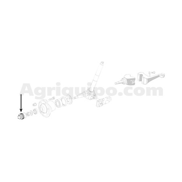 Tapón del buje de rueda | Zetor