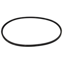 Correa trapezoidal dentada | AGCO