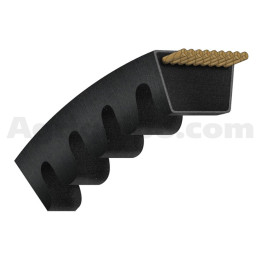 Correa trapezoidal dentada | Ford