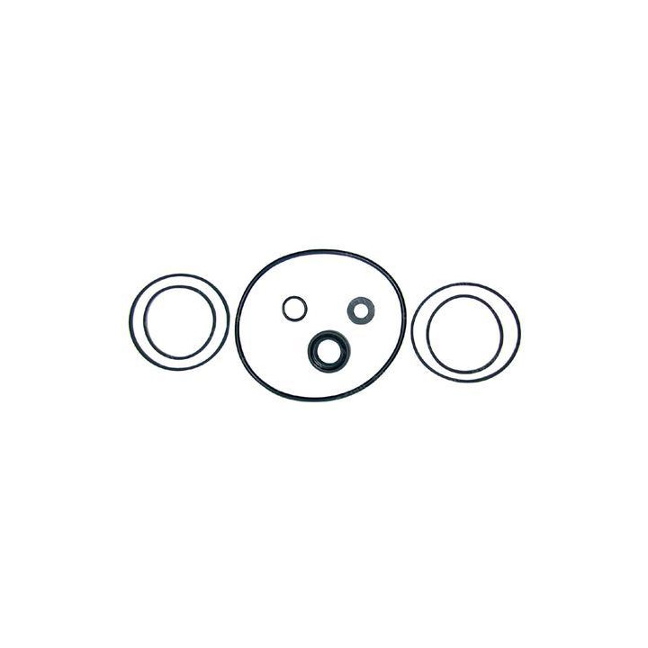 Juego de retenes | AGCO
