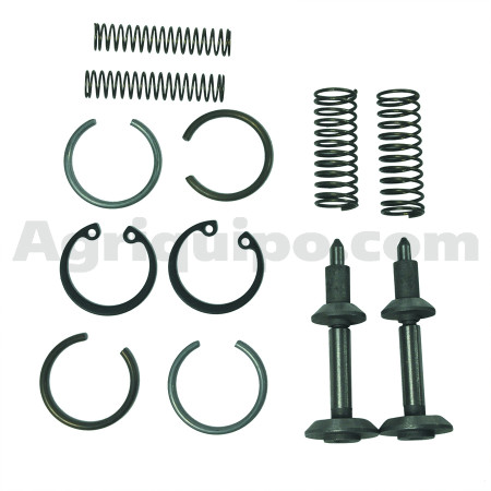 Juego de reparación | Massey Ferguson