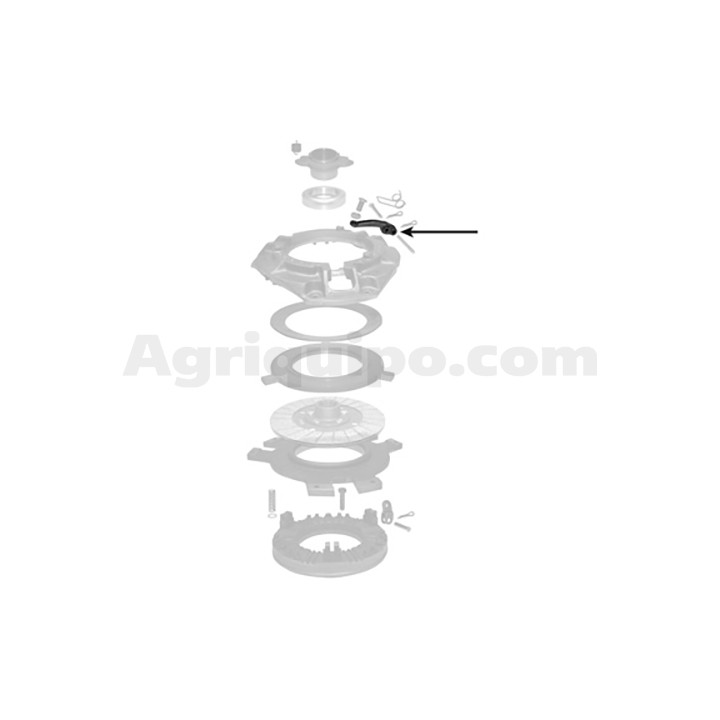 Patilla | AGCO