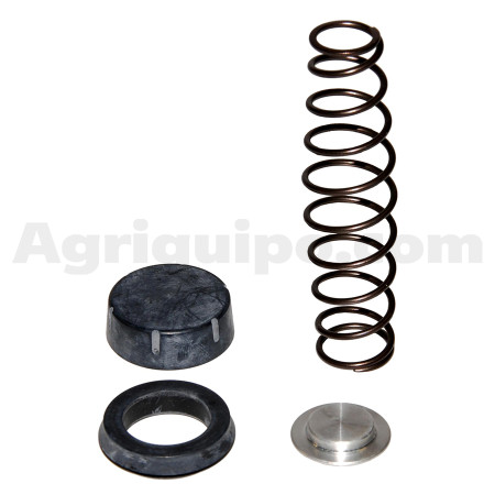 Juego de reparación | Massey Ferguson