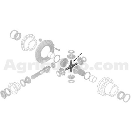 Cruceta | JCB 2