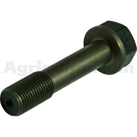 Tornillo de biela | AGCO
