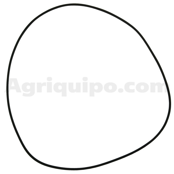 Junta tórica | IHC