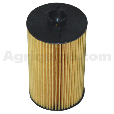 Cartucho filtro combustible | Fendt
