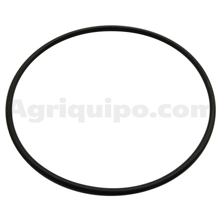 Junta tórica | Fiat